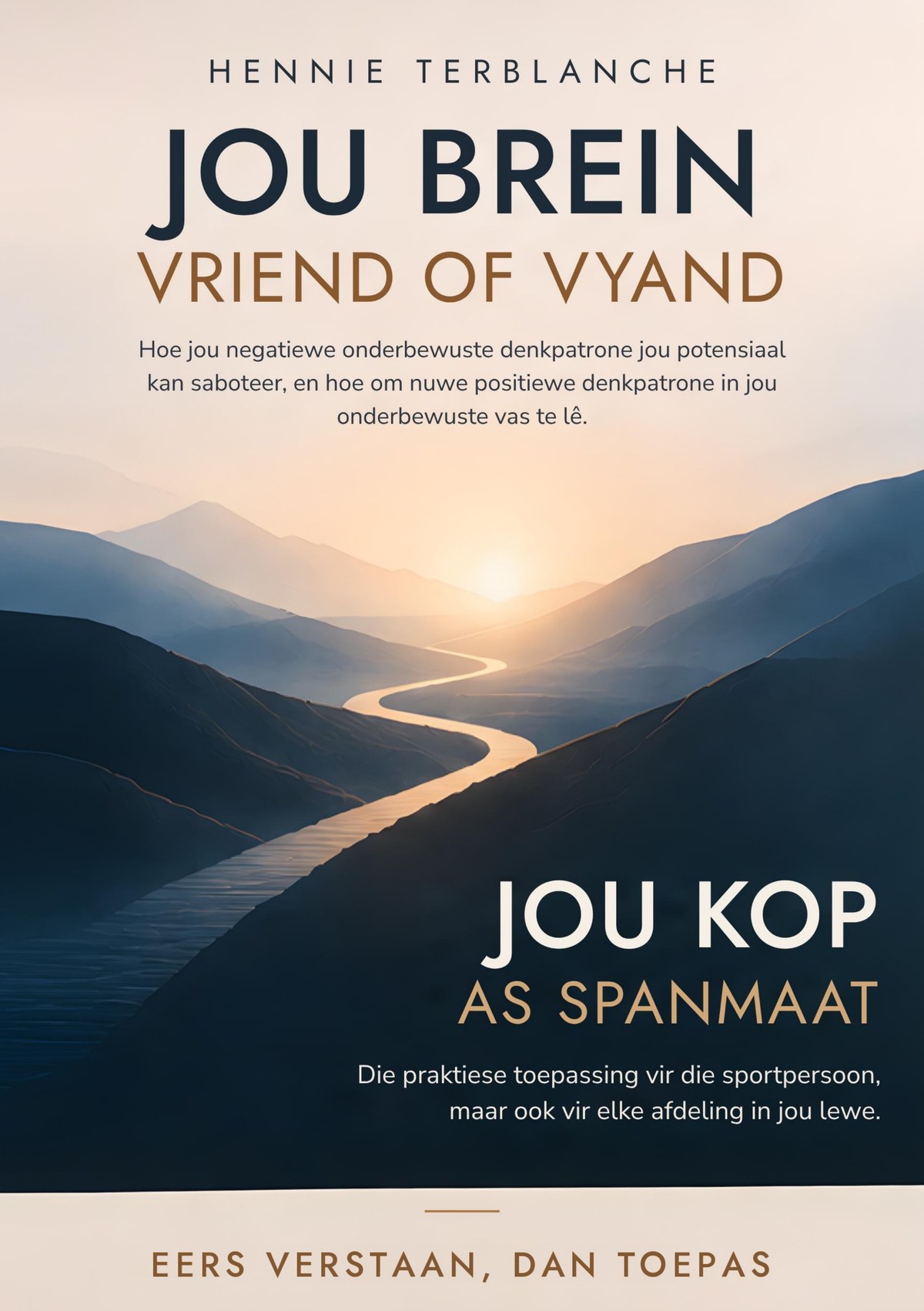 Voorblad van Jou Brein: Vriend of Vyand deur Hennie Terblanche